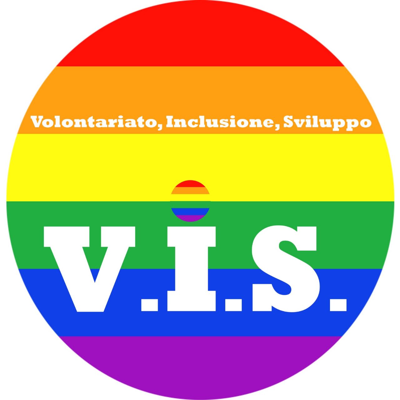 logo vis